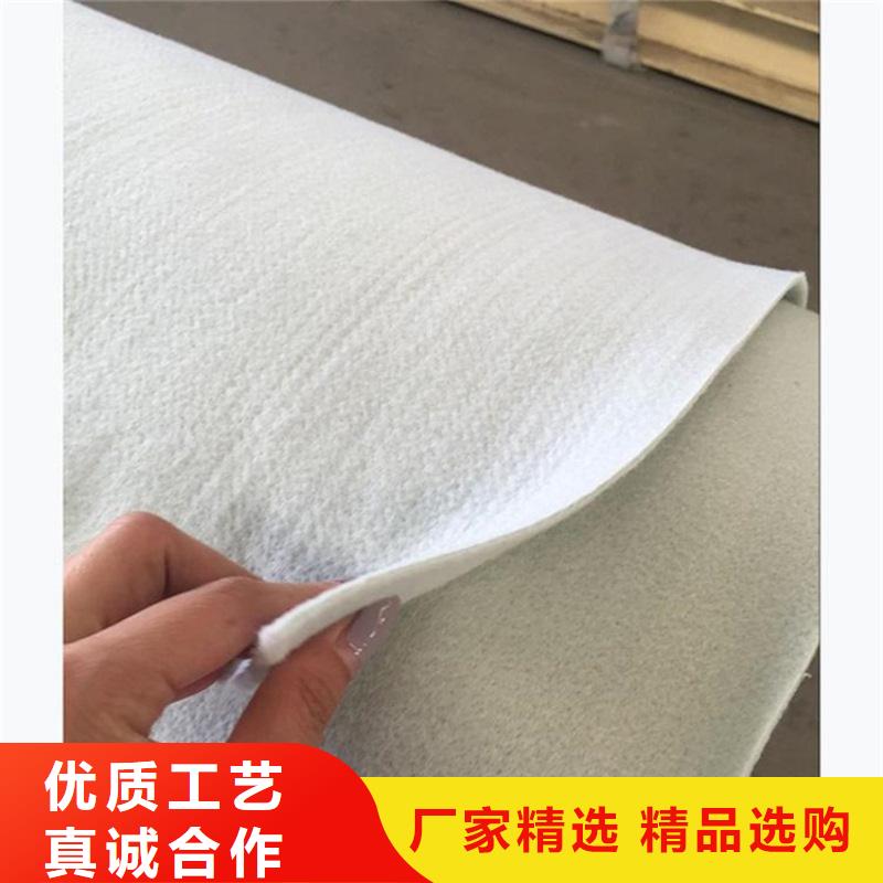 防渗土工布