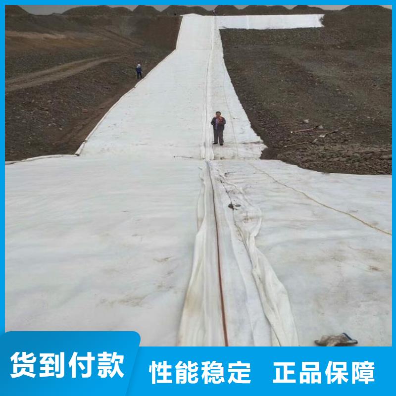 【 土工布_防渗膜工厂批发】