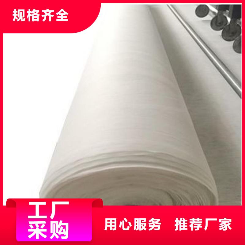 防渗土工布