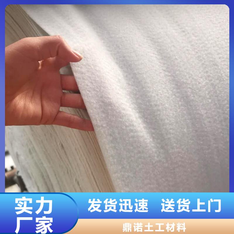 土工布三维植被网经验丰富品质可靠
