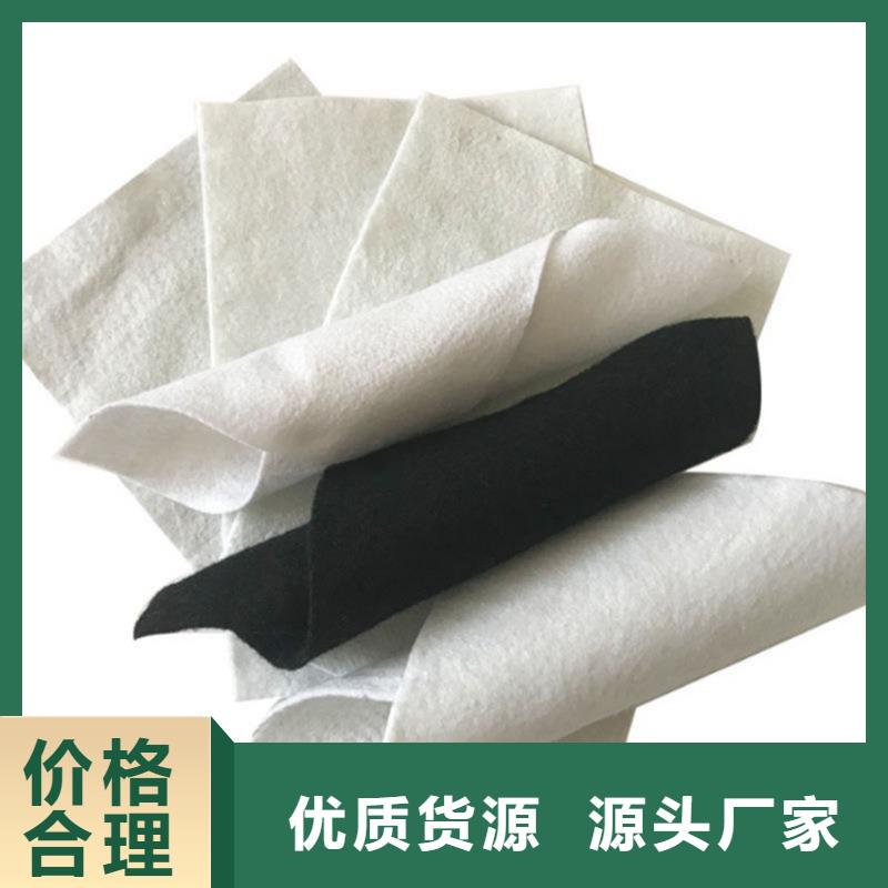 【土工布】涤纶格栅现货