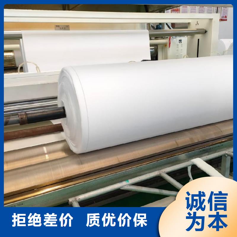 【 土工布_防渗膜工厂批发】