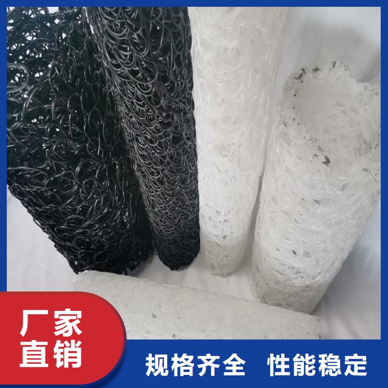 塑料盲沟钢塑格栅放心得选择