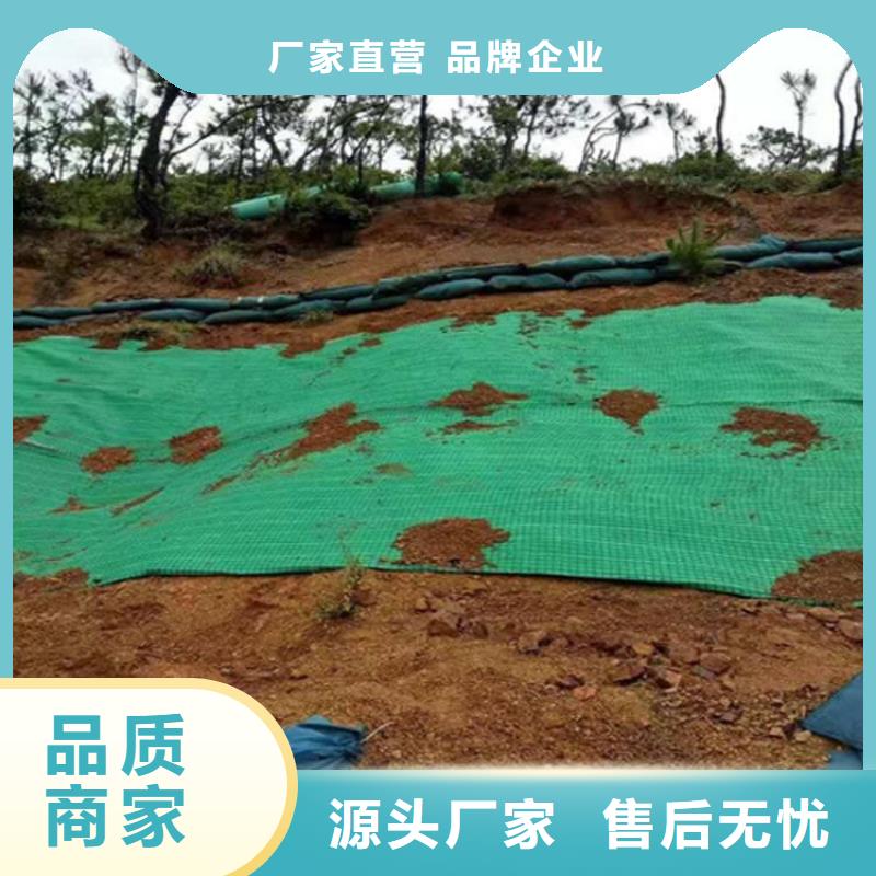 植物纤维毯加筋抗冲生物毯