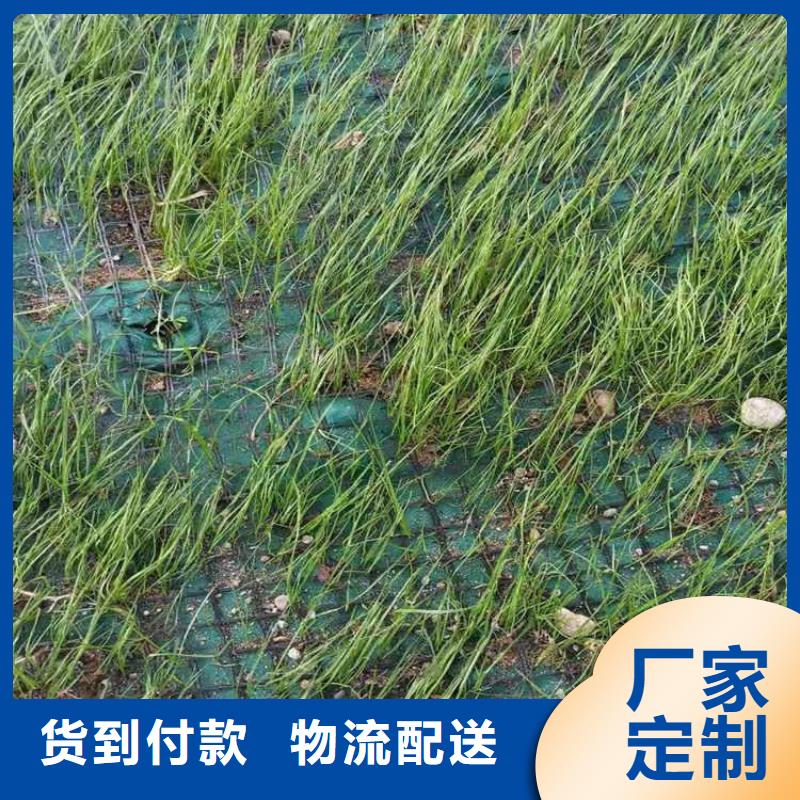 加筋抗冲生物毯-植物纤维毯详情介绍