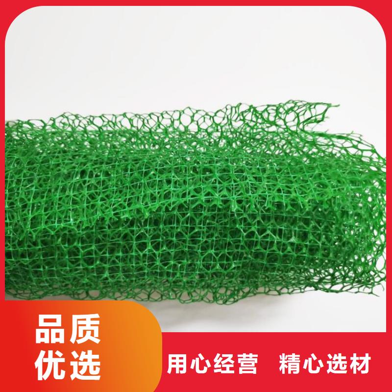 三维植被网,【土工布】细节严格凸显品质-鼎诺土工材料(嘉峪关市分公司)