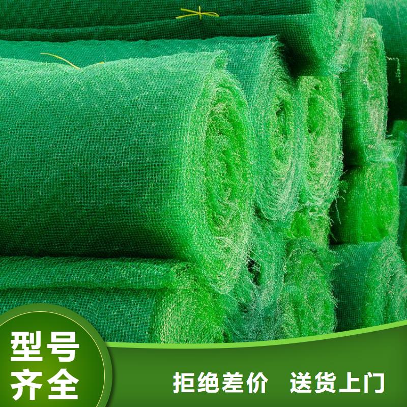 三维植被网_土工膜发货迅速