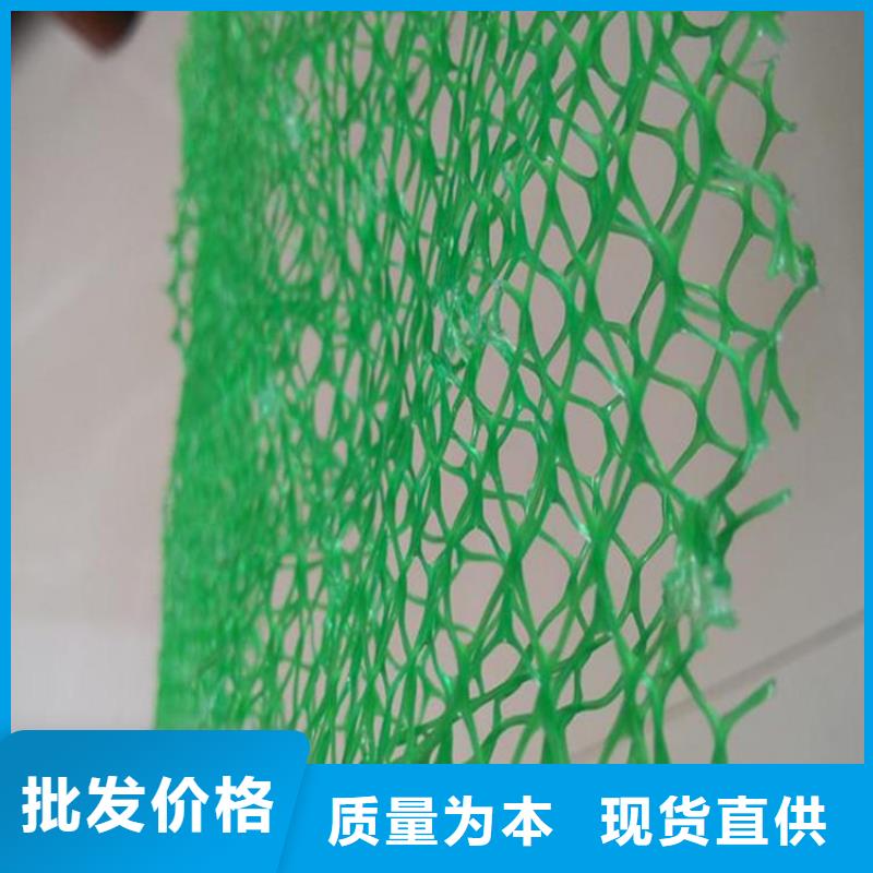 三维植被网_【玻纤格栅】多种场景适用