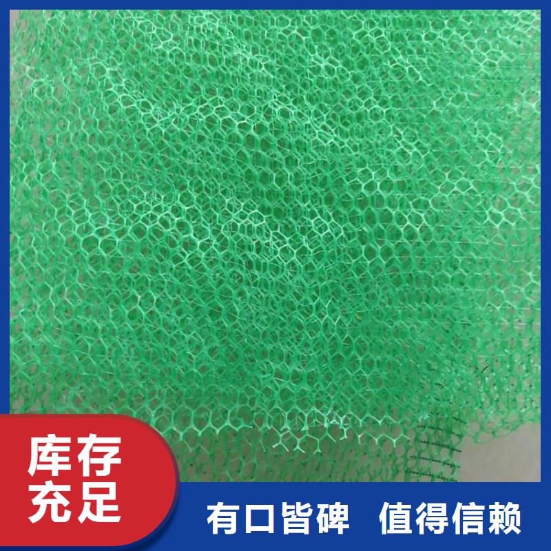 三维土工网垫