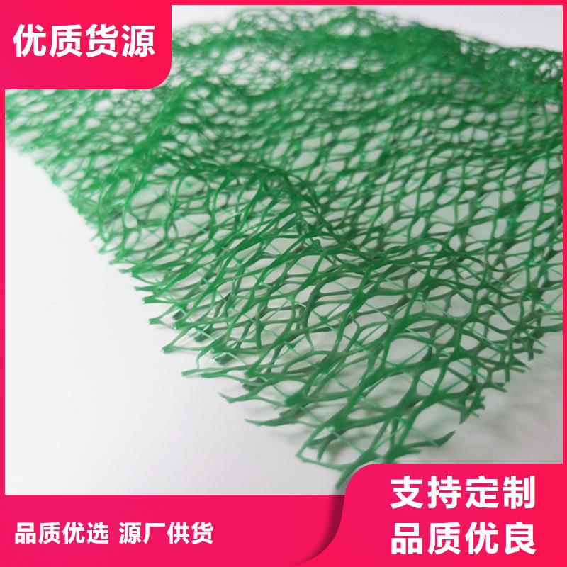 真诚合作 三维植被网,【土工布】细节严格凸显品质-【同城】生产厂家