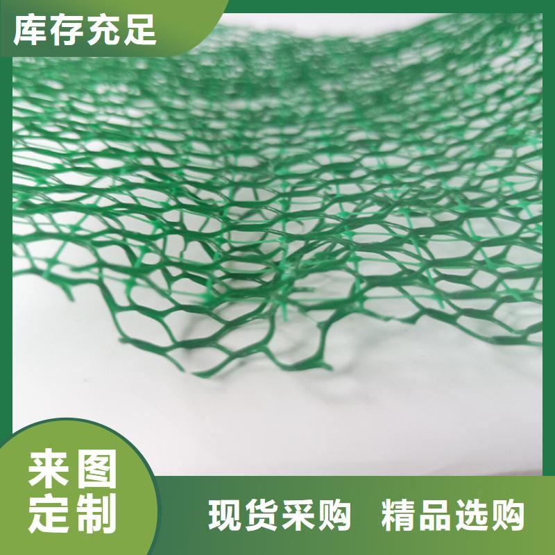 三维植被网_土工格栅交货准时