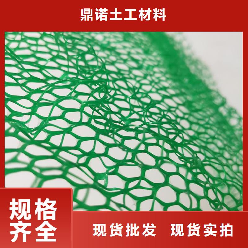 塑料EM5三维固土网垫