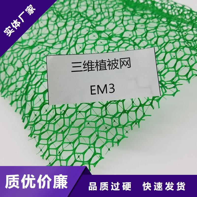 三维植被网_土工格栅交货准时