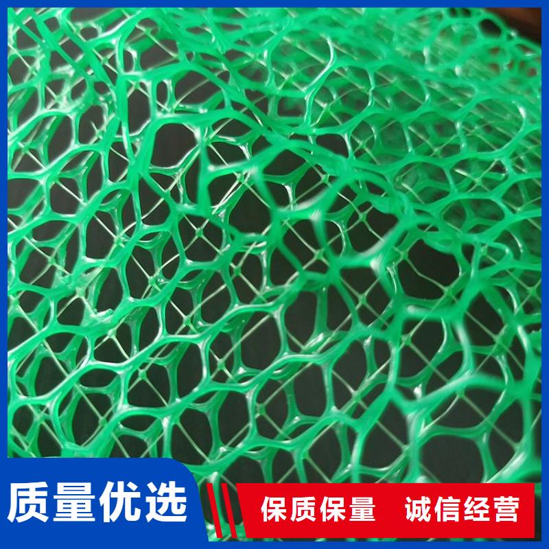 真诚合作 三维植被网,【土工布】细节严格凸显品质-【同城】生产厂家