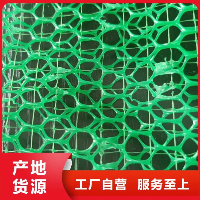 塑料EM5三维固土网垫