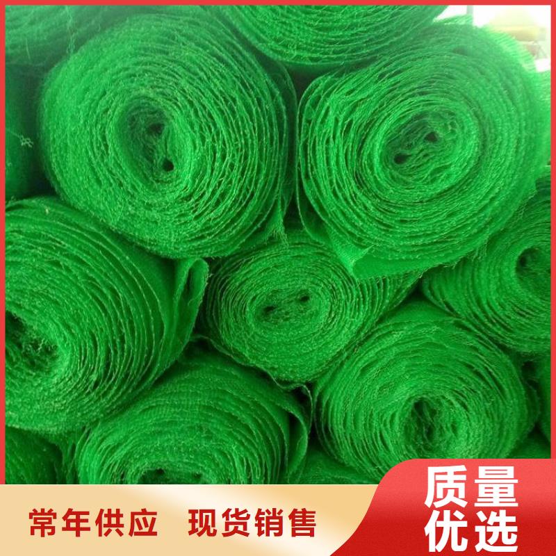 三维植被网,【土工布】细节严格凸显品质-鼎诺土工材料(嘉峪关市分公司)