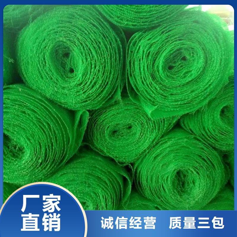 三维植被网_土工膜发货迅速
