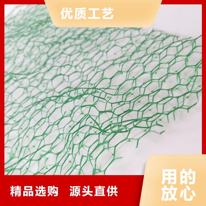 塑料EM5三维固土网垫