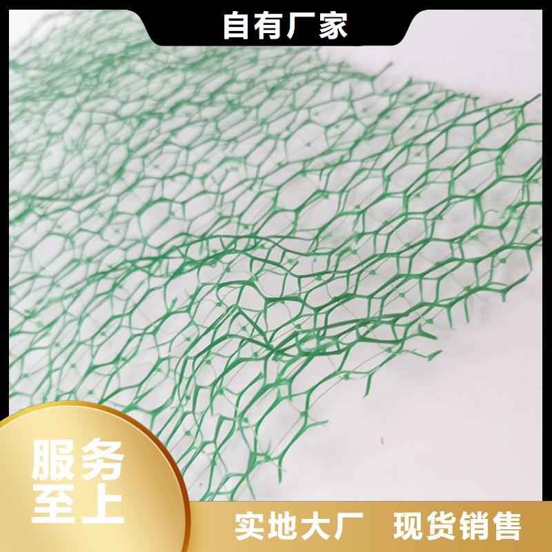 EM5三维护坡植草网垫