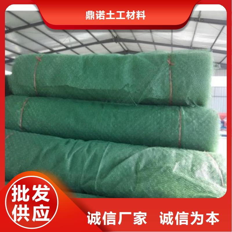 三维植被网_土工膜发货迅速