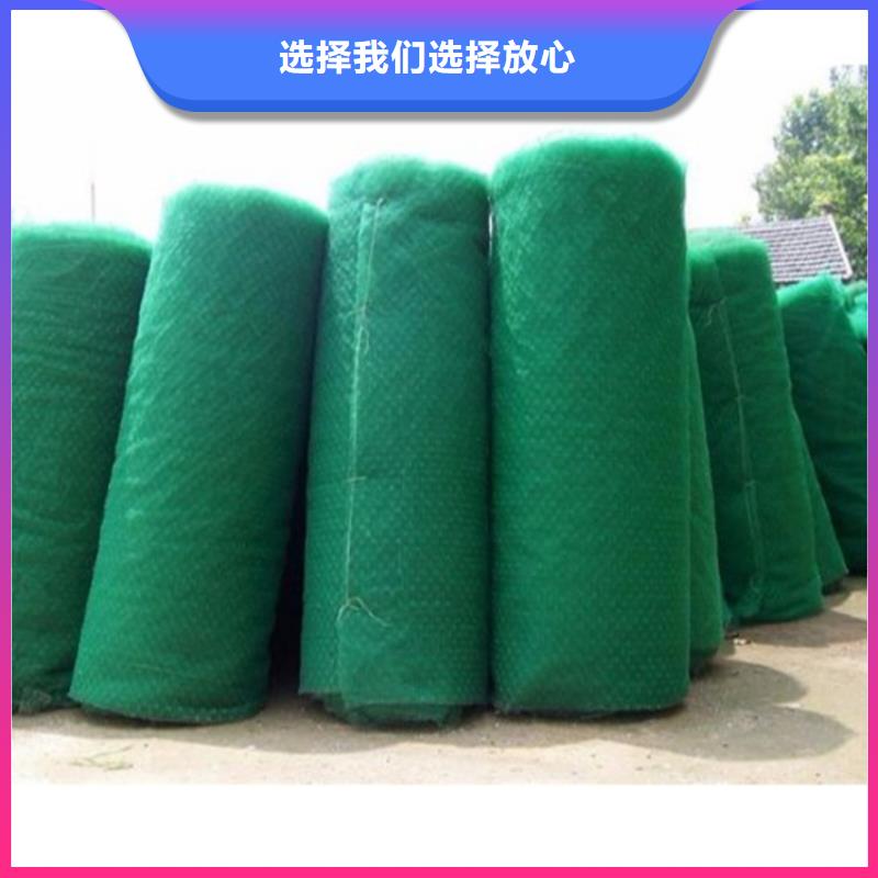 三维植被网止水带品质有保障