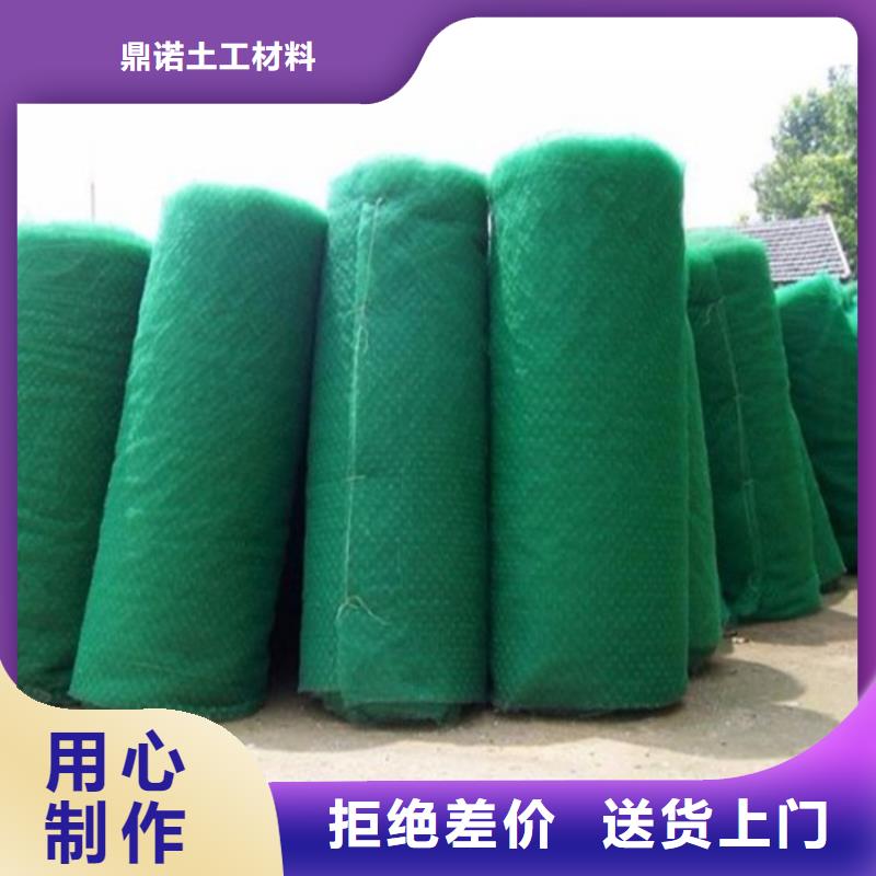 塑料EM5三维固土网垫