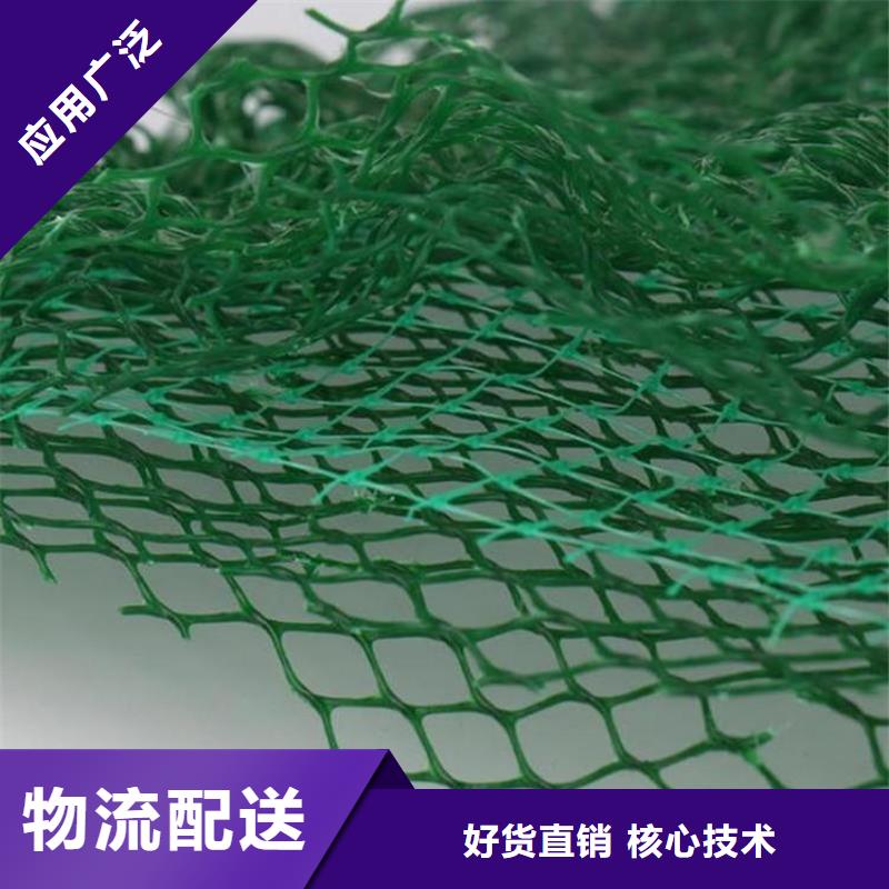 三维植被网_土工膜发货迅速