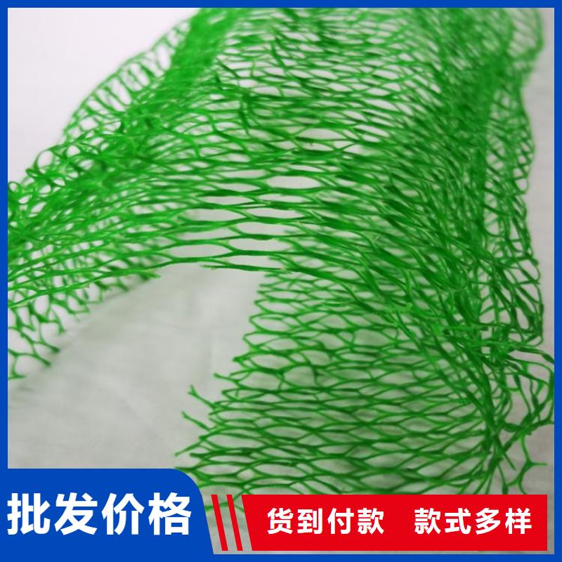 三维植被网【HDPE土工膜】源头采购覆盖范围含|海南|果洛|海西|海东|西宁|玉树|海北