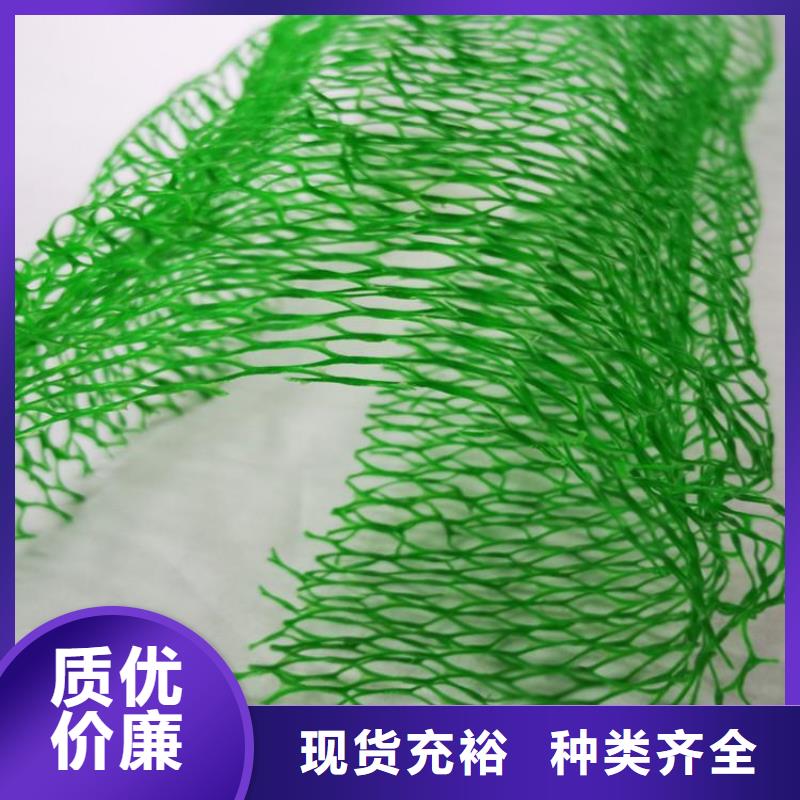 三维土工网垫