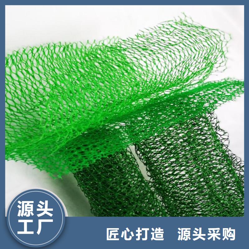 【三维植被网,土工膜工厂直销】