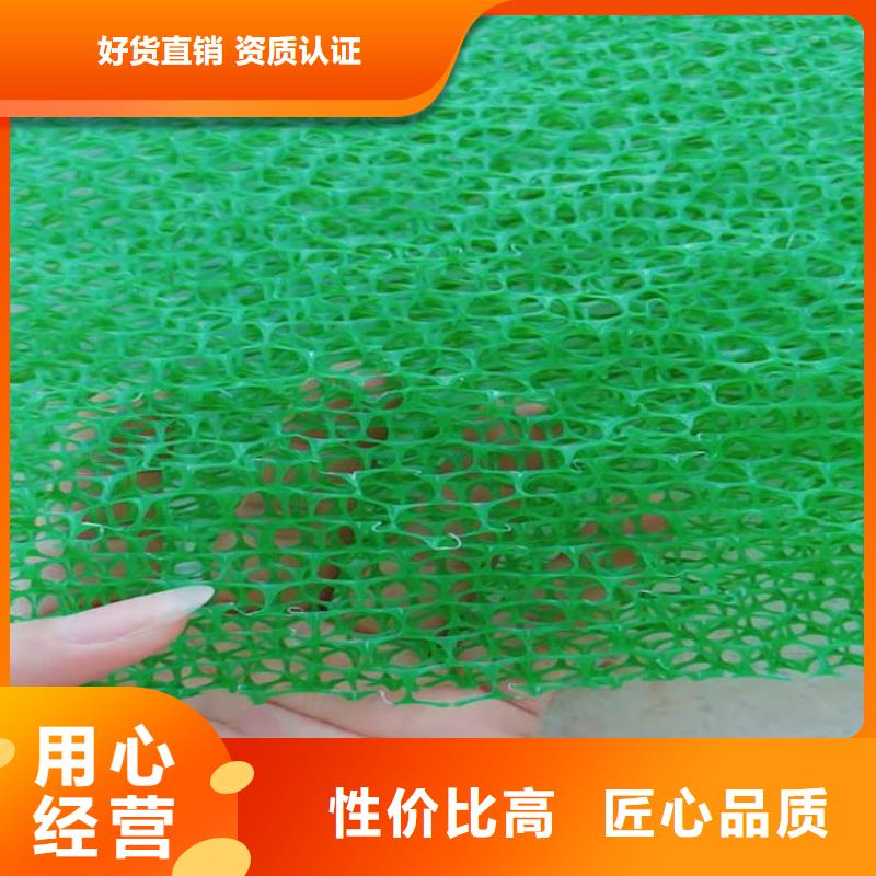 三维植被网,【土工布】细节严格凸显品质-鼎诺土工材料(嘉峪关市分公司)