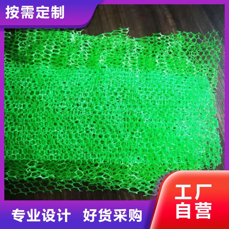 三维植被网HDPE土工膜严格把控质量