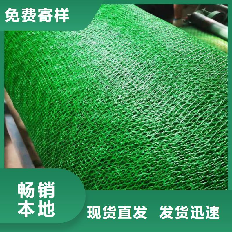 三维土工网垫