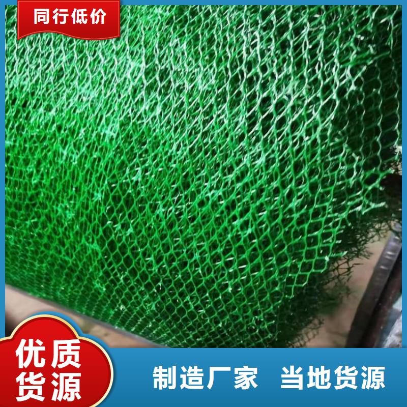 真诚合作 三维植被网,【土工布】细节严格凸显品质-【同城】生产厂家