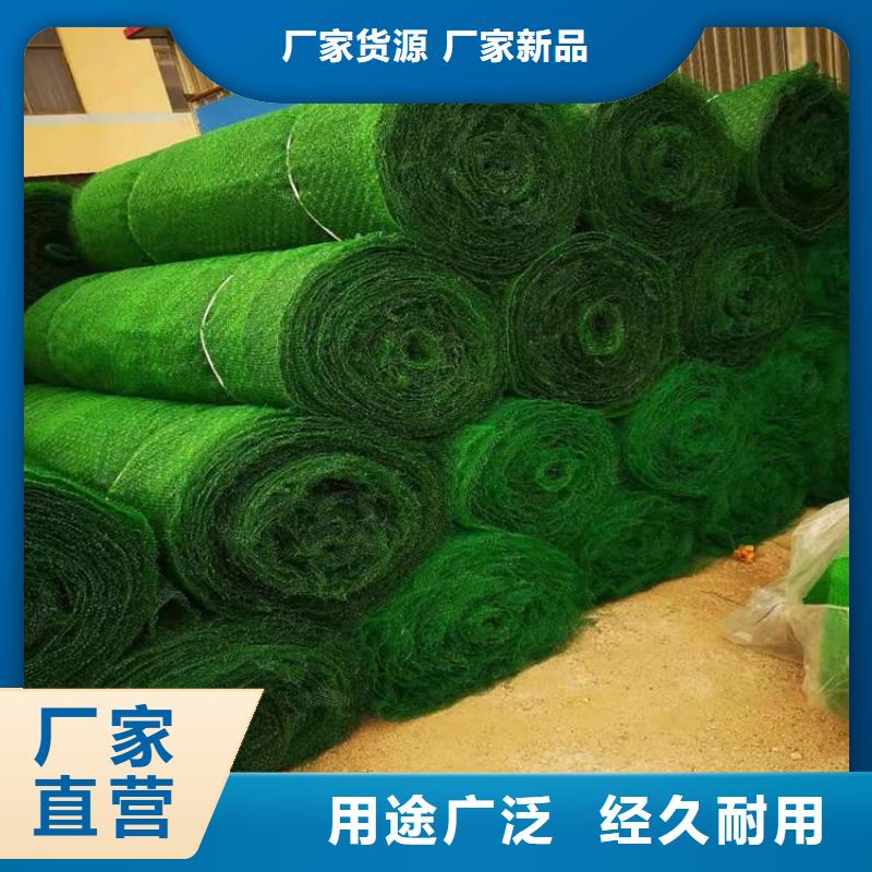 三维植被网,土工膜一站式服务