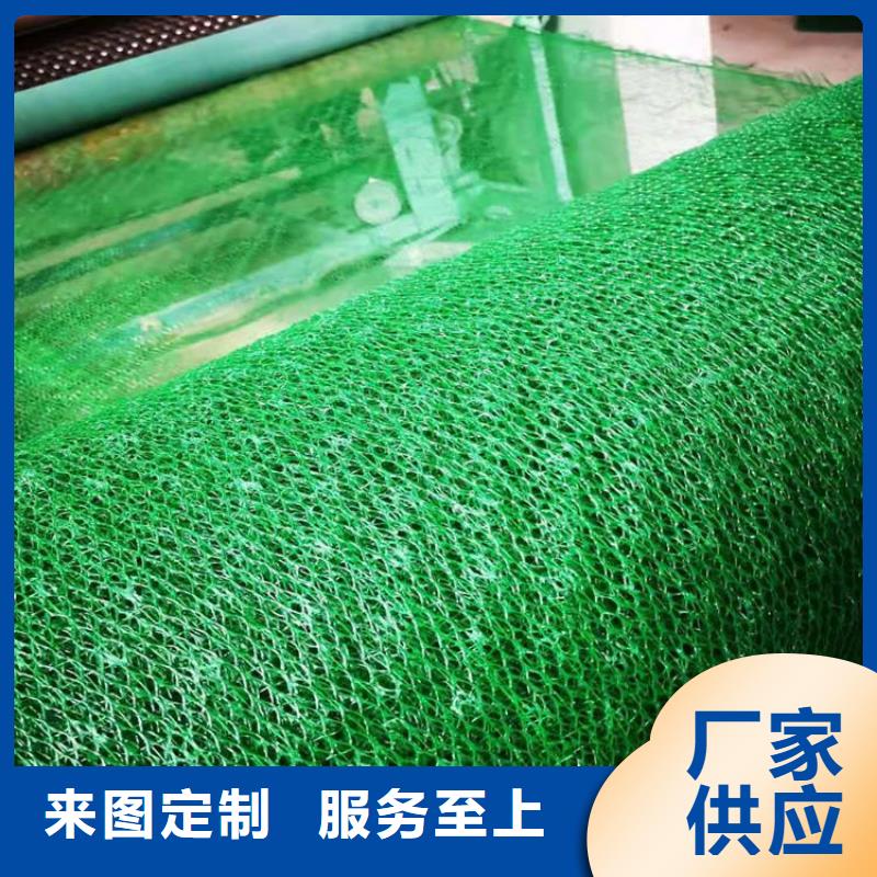 三维植被网,土工格室让利客户