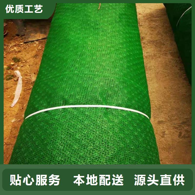 三维植被网,土工膜一站式服务