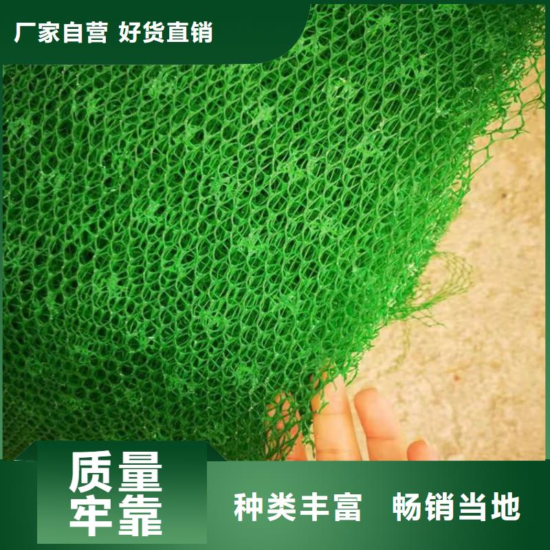 三维植被网_土工膜发货迅速
