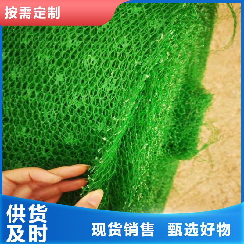 三维植被网,【土工布】细节严格凸显品质-鼎诺土工材料(嘉峪关市分公司)