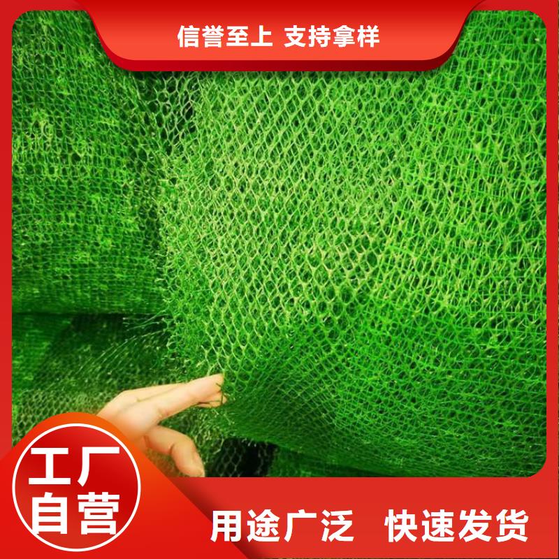 三维植被网_【玻纤格栅】多种场景适用