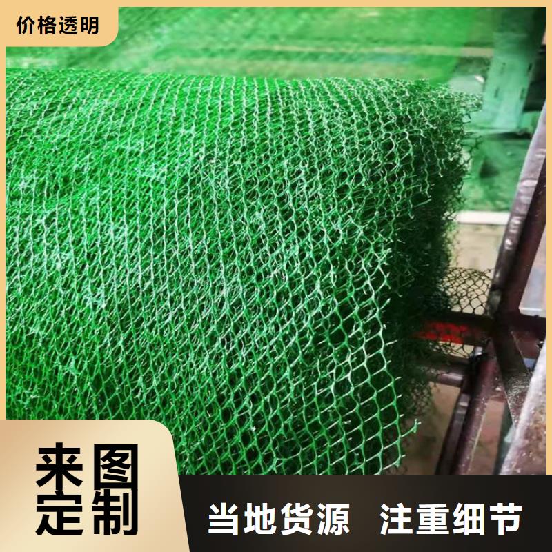 【三维植被网,土工膜工厂直销】