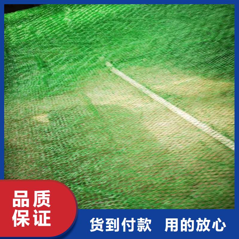 三维植被网,土工膜一站式服务