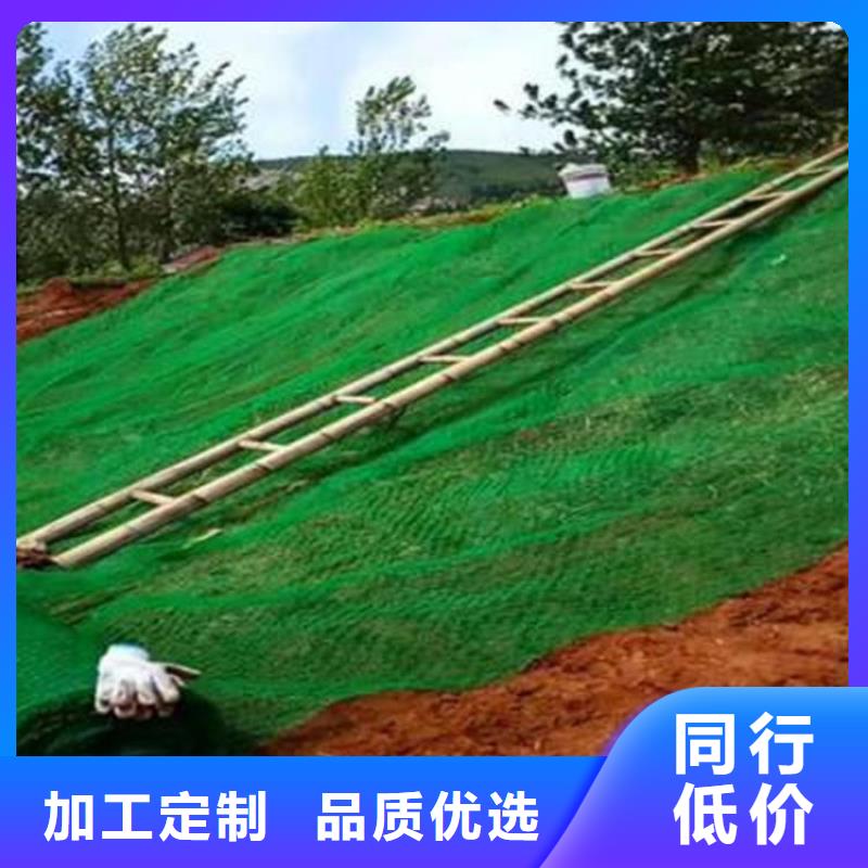 【三维植被网,土工膜工厂直销】