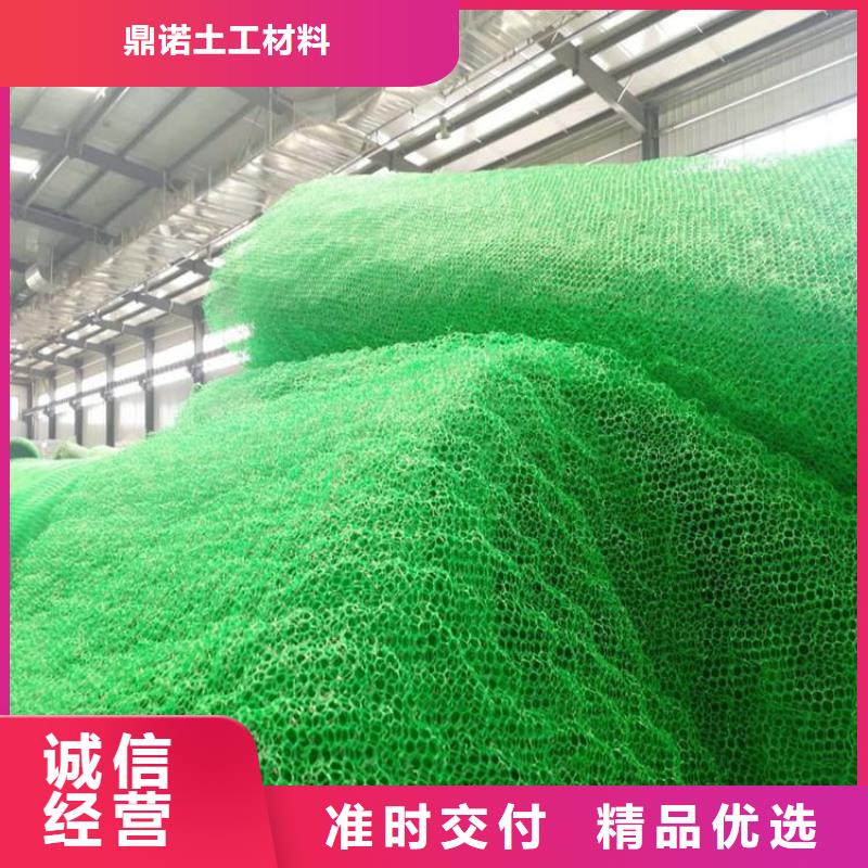 三维植被网,土工格室让利客户