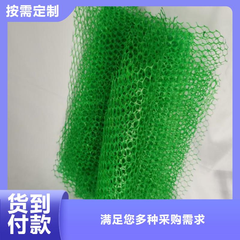 真诚合作 三维植被网,【土工布】细节严格凸显品质-【同城】生产厂家