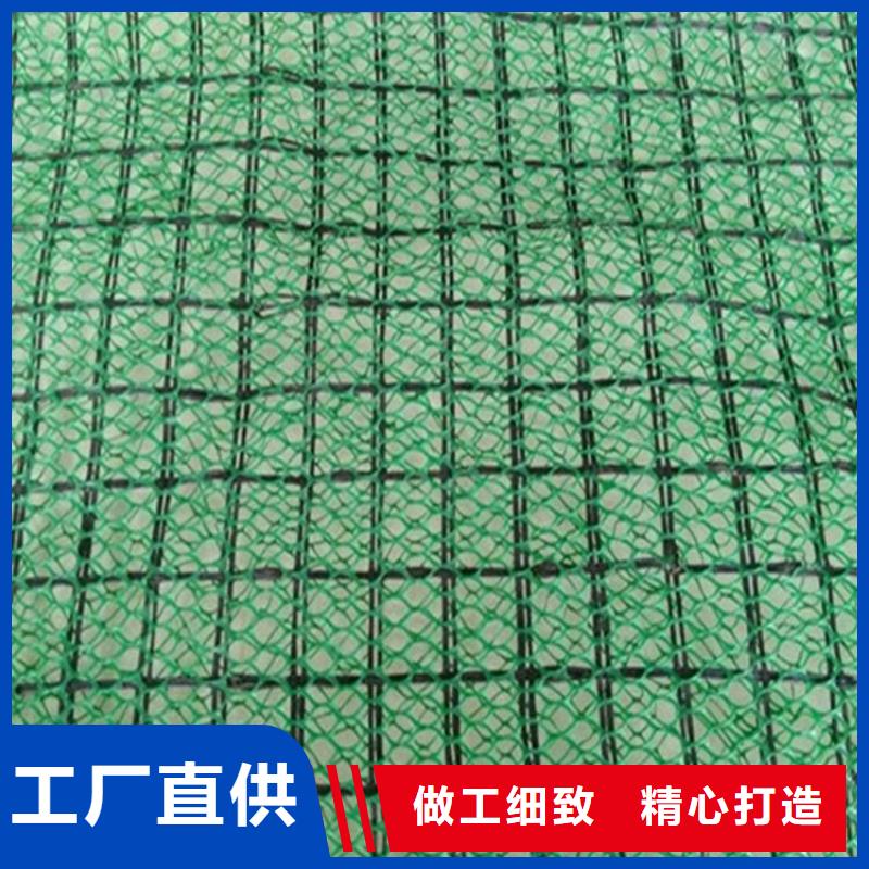 三维植被网【HDPE土工膜】源头采购覆盖范围含|海南|果洛|海西|海东|西宁|玉树|海北