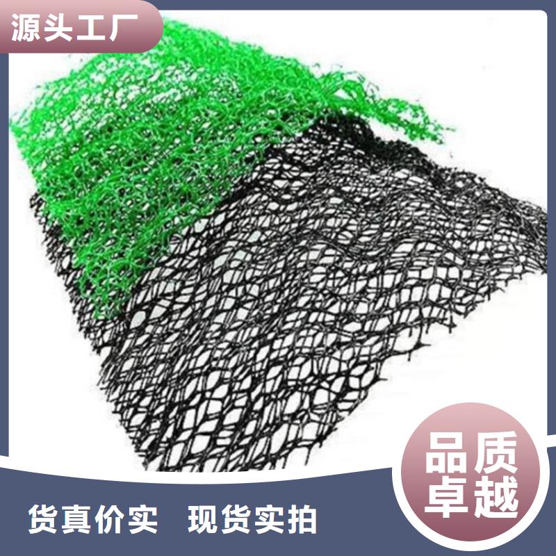 三维植被网【HDPE土工膜】源头采购覆盖范围含|海南|果洛|海西|海东|西宁|玉树|海北