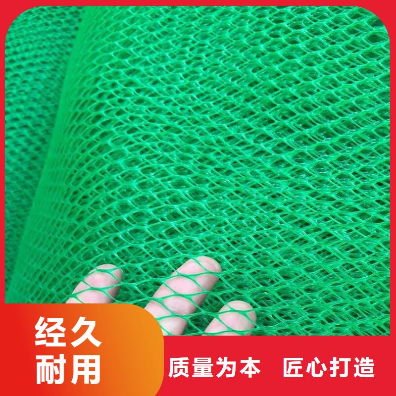 真诚合作 三维植被网,【土工布】细节严格凸显品质-【同城】生产厂家