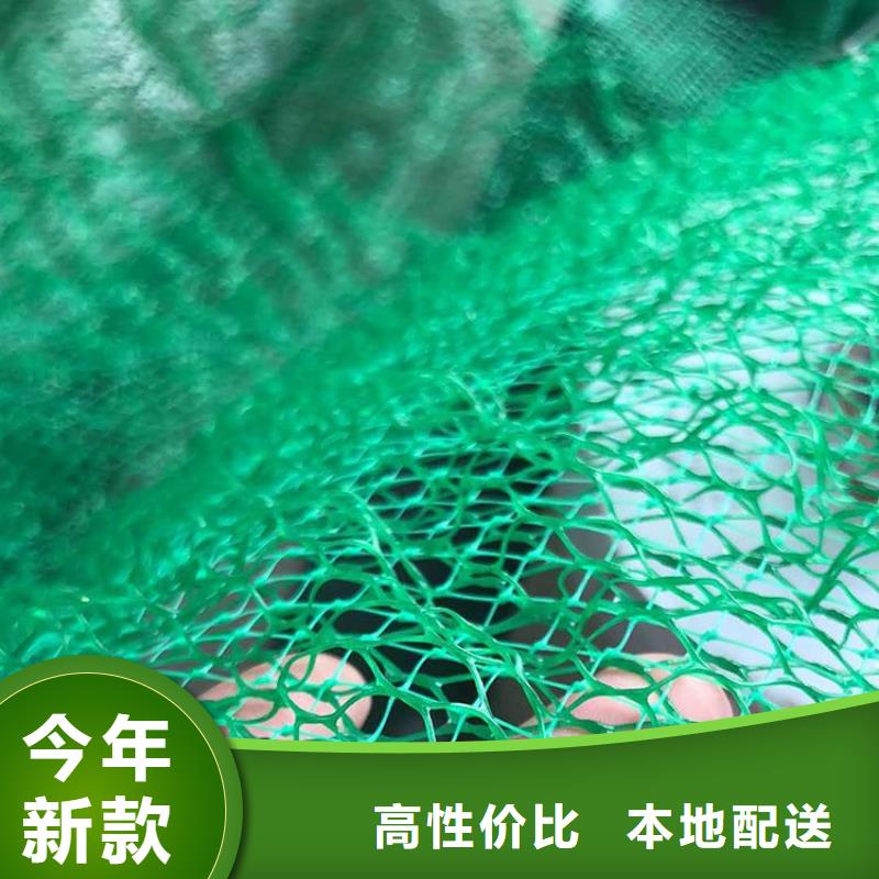 【三维植被网,土工膜工厂直销】