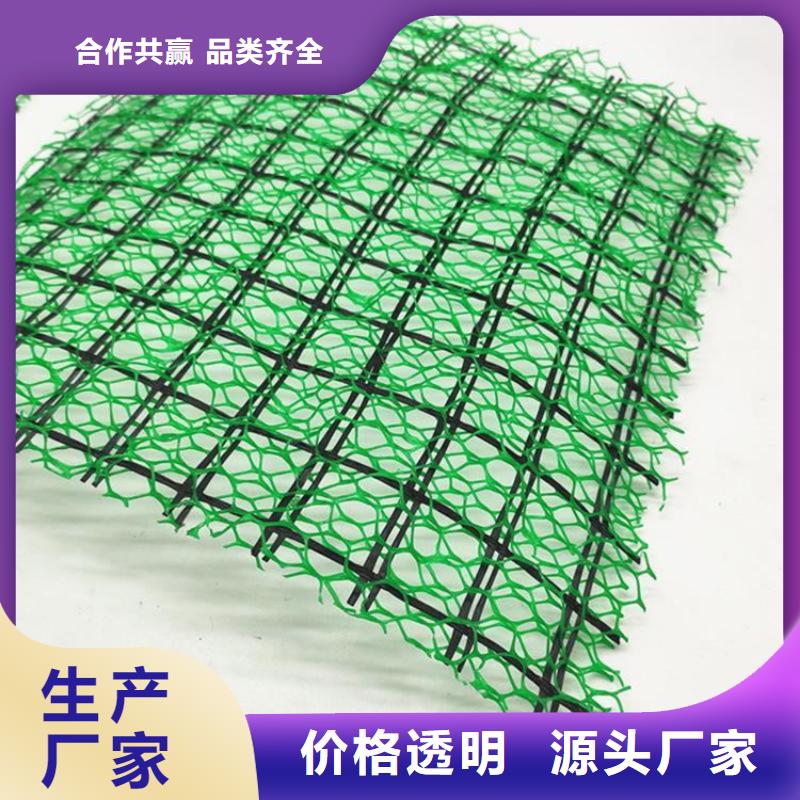 三维植被网,【土工布】细节严格凸显品质-鼎诺土工材料(嘉峪关市分公司)